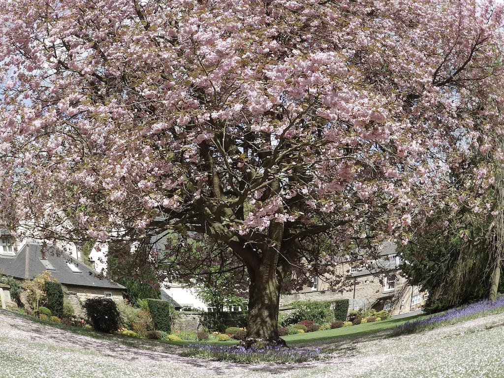 Hotel Hedgefield House Ryton  Esterno foto